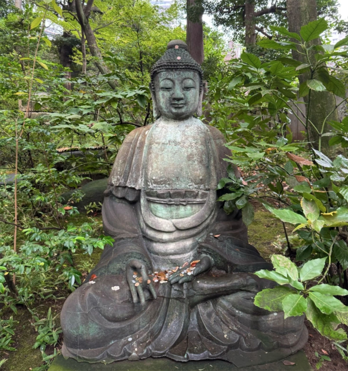 日本东京根津博物馆和花园
