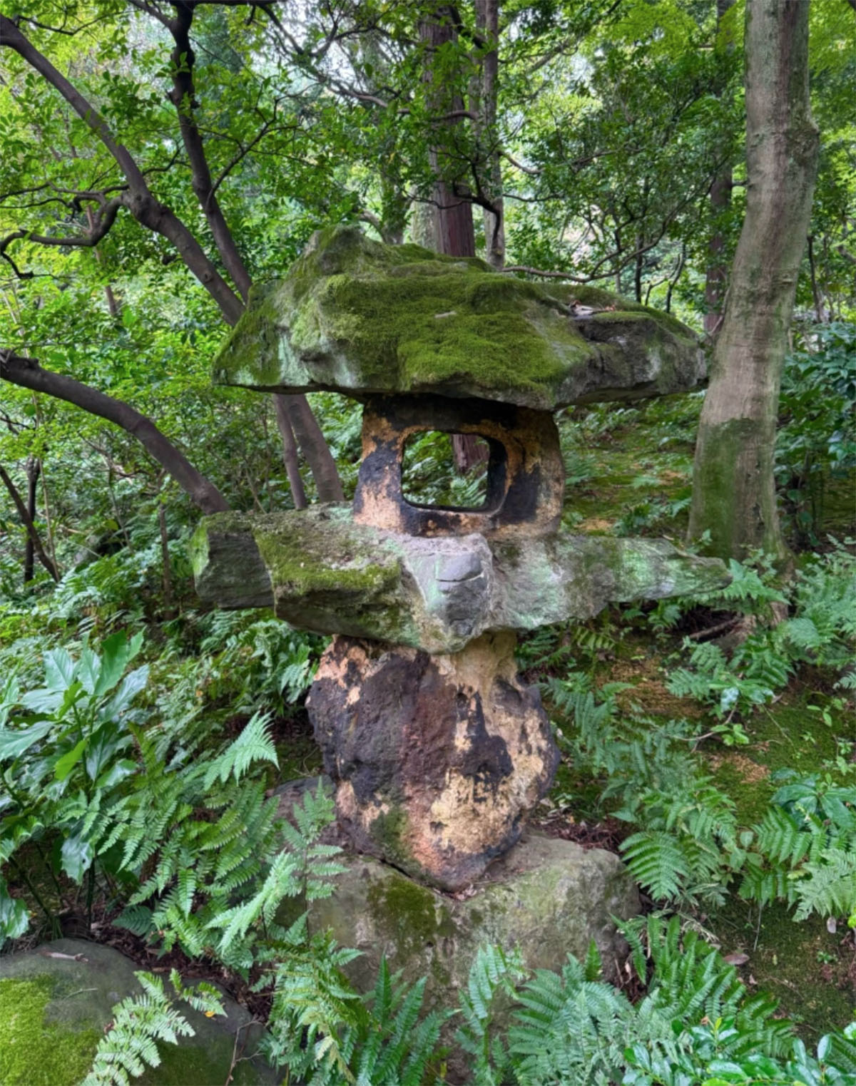 日本东京根津博物馆和花园