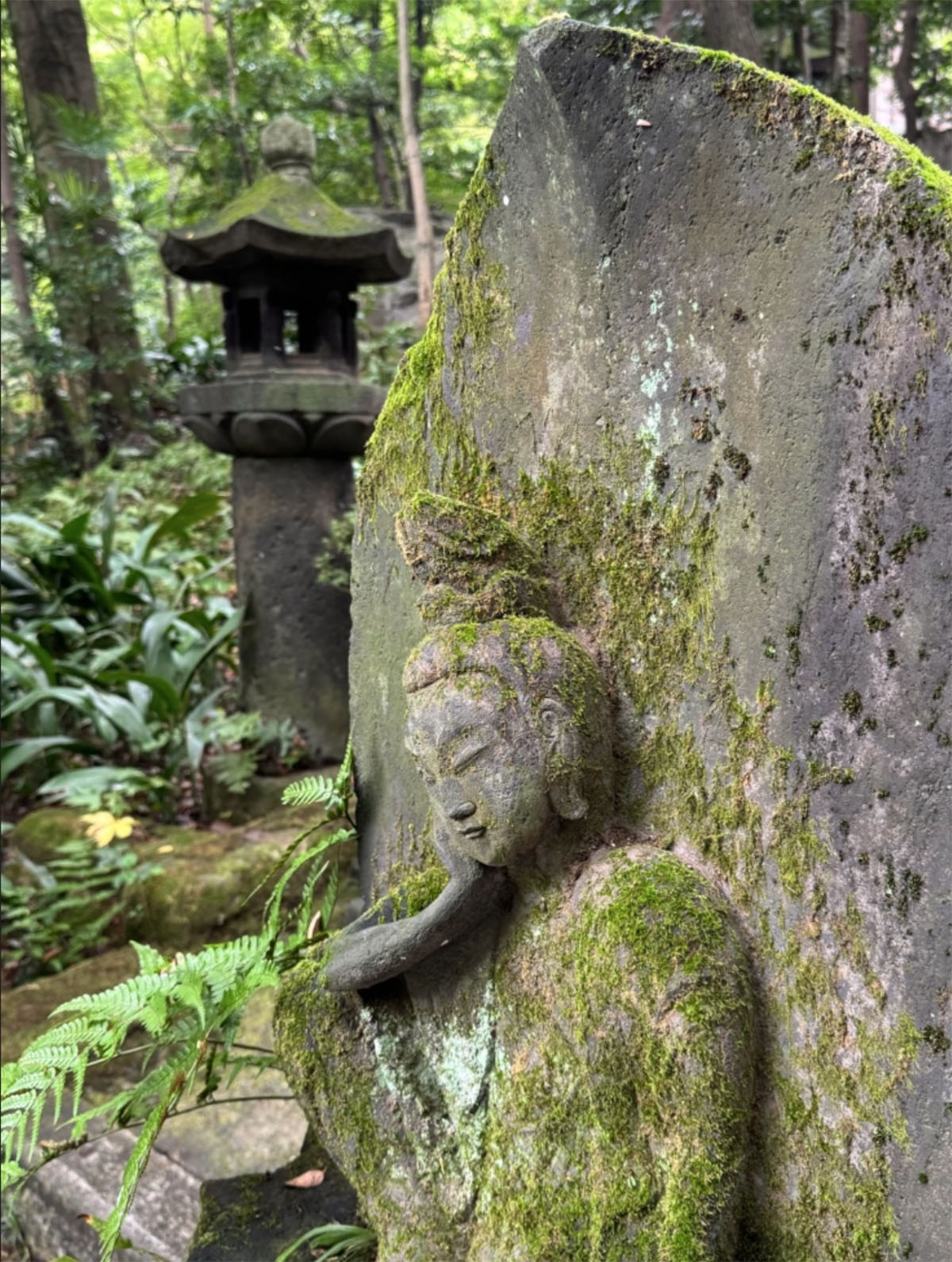 日本东京根津博物馆和花园