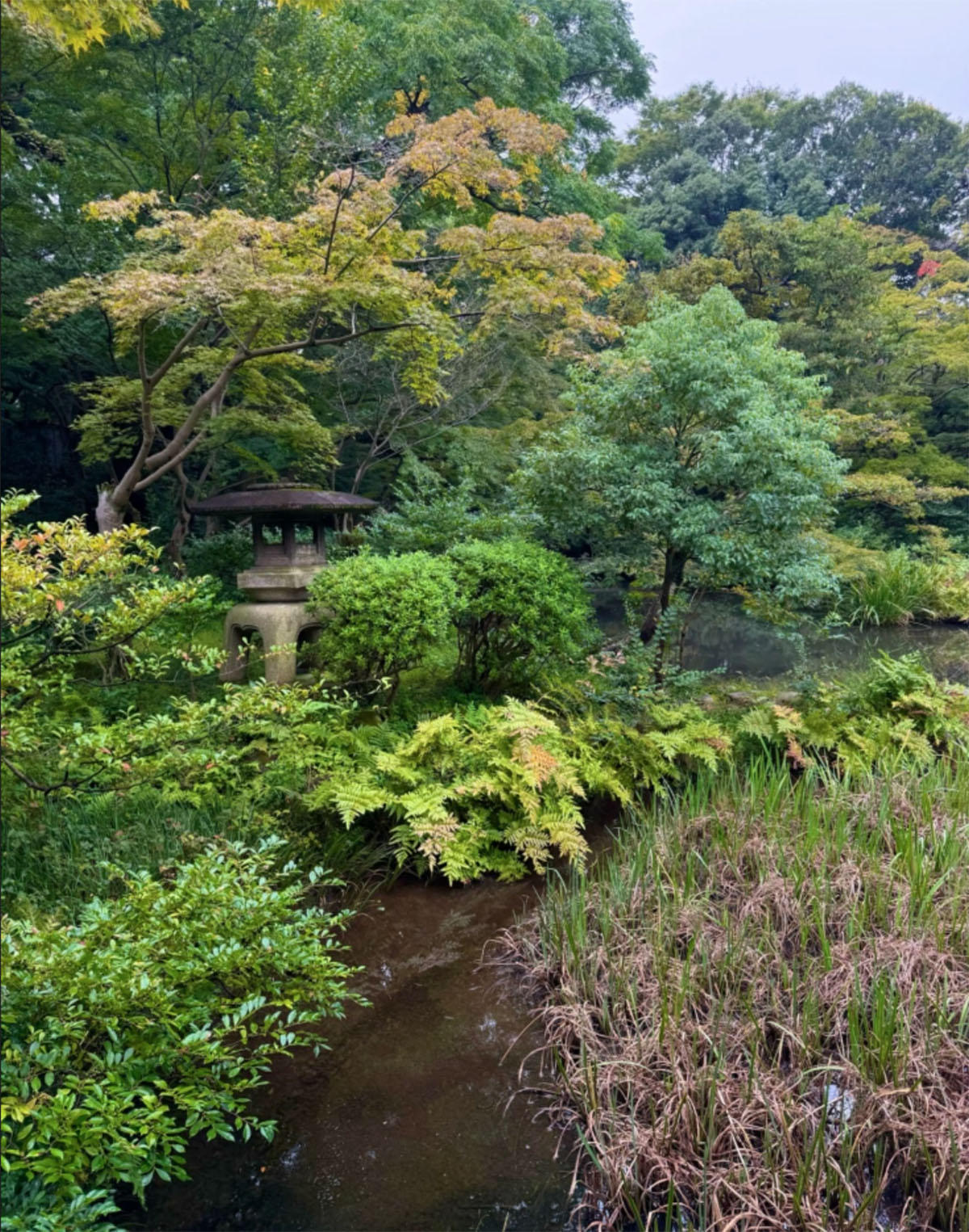 日本东京根津博物馆和花园