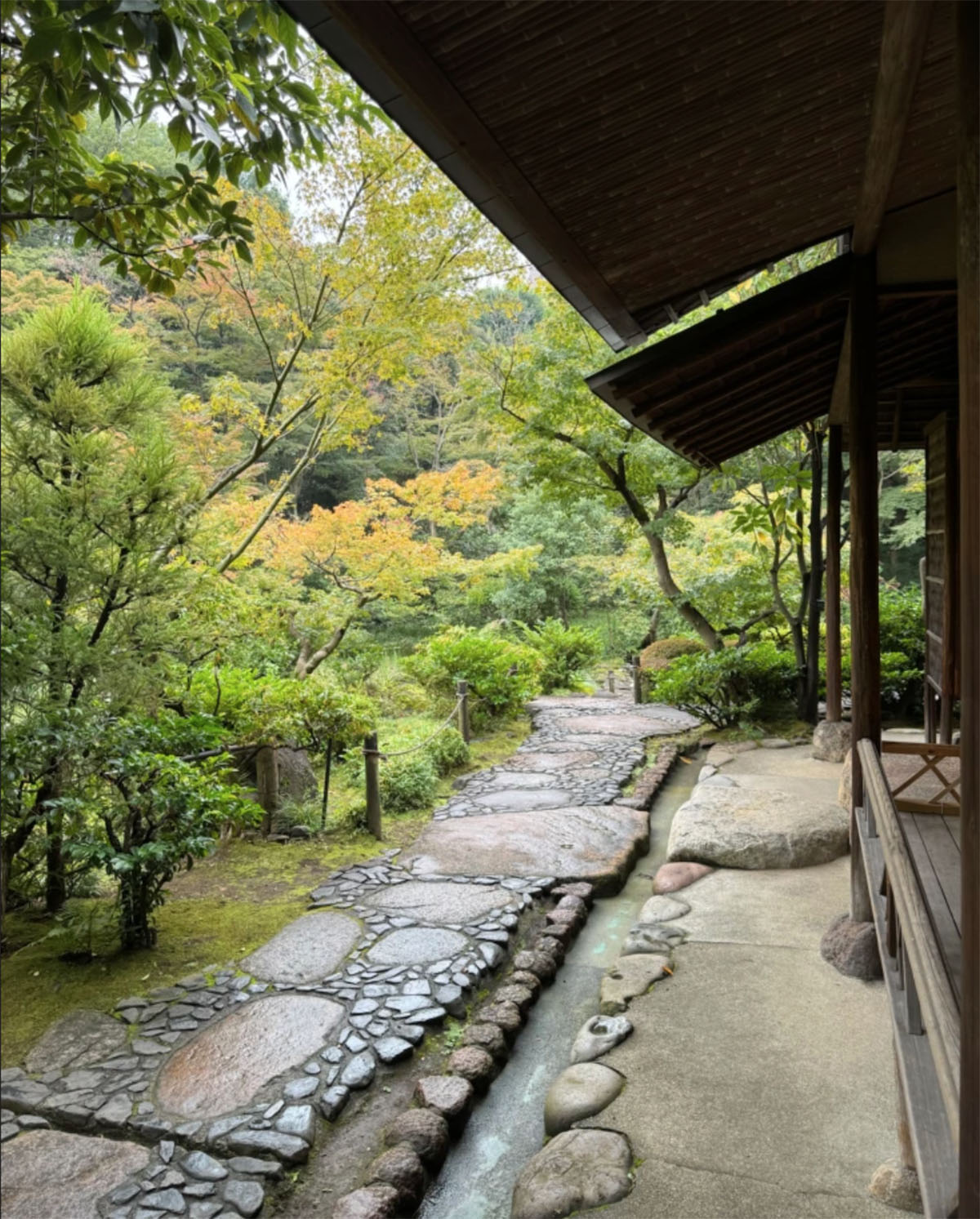 日本东京根津博物馆和花园
