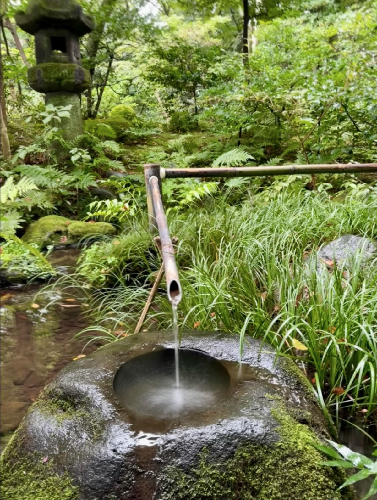 日本东京根津博物馆和花园