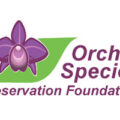 加拿大兰花物种保护基金会（OSPF）