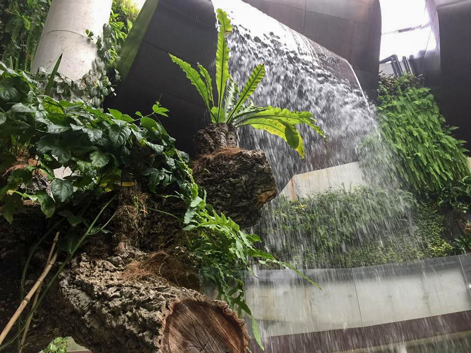 西班牙埃斯特波纳兰花园Orchidarium Estepona