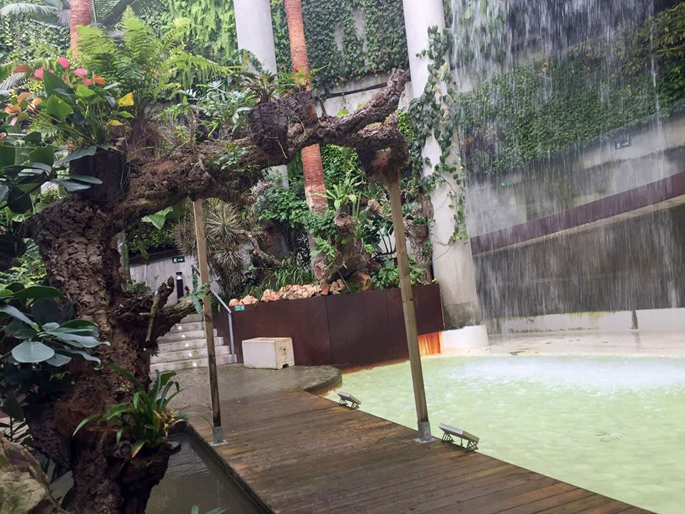 西班牙埃斯特波纳兰花园Orchidarium Estepona