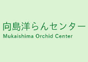 日本向岛兰花中心