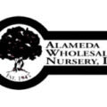 美国阿拉米达批发苗圃Alameda