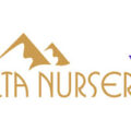 美国Alta苗圃Alta Nursery