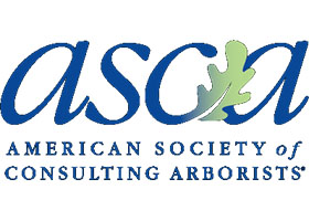 美国咨询树木专家协会（ASCA）