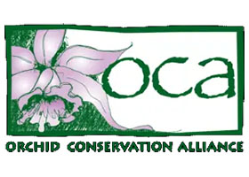 兰花保护联盟Orchid Conservation Alliance (OCA)