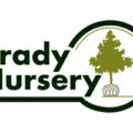 美国布雷迪苗圃（Brady Nursery）