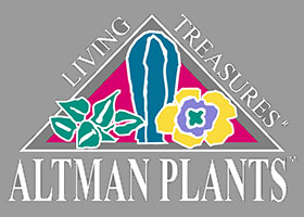 美国Altman Plants苗圃