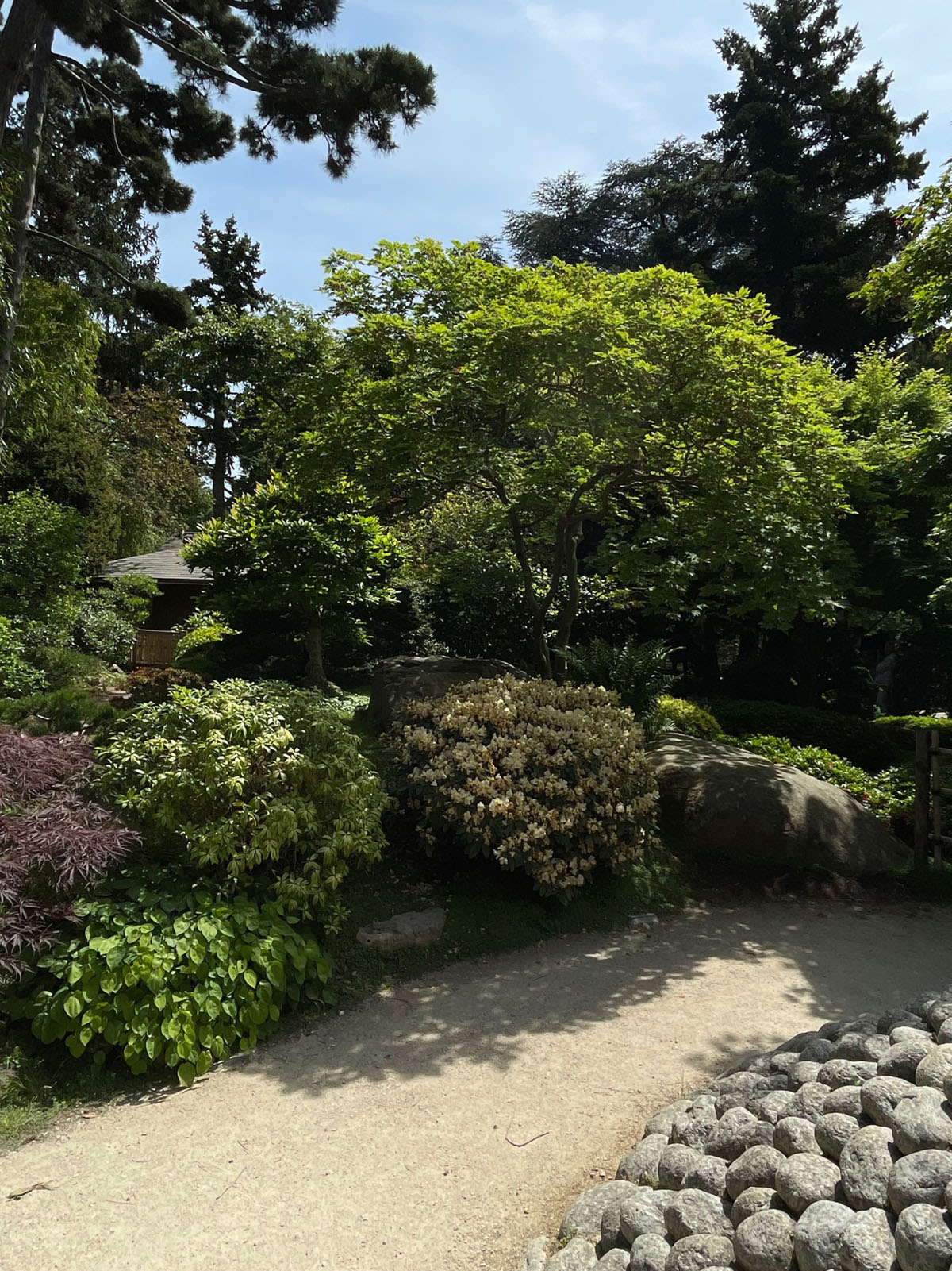 法国巴黎阿尔贝·坎恩花园Albert Kahn Garden