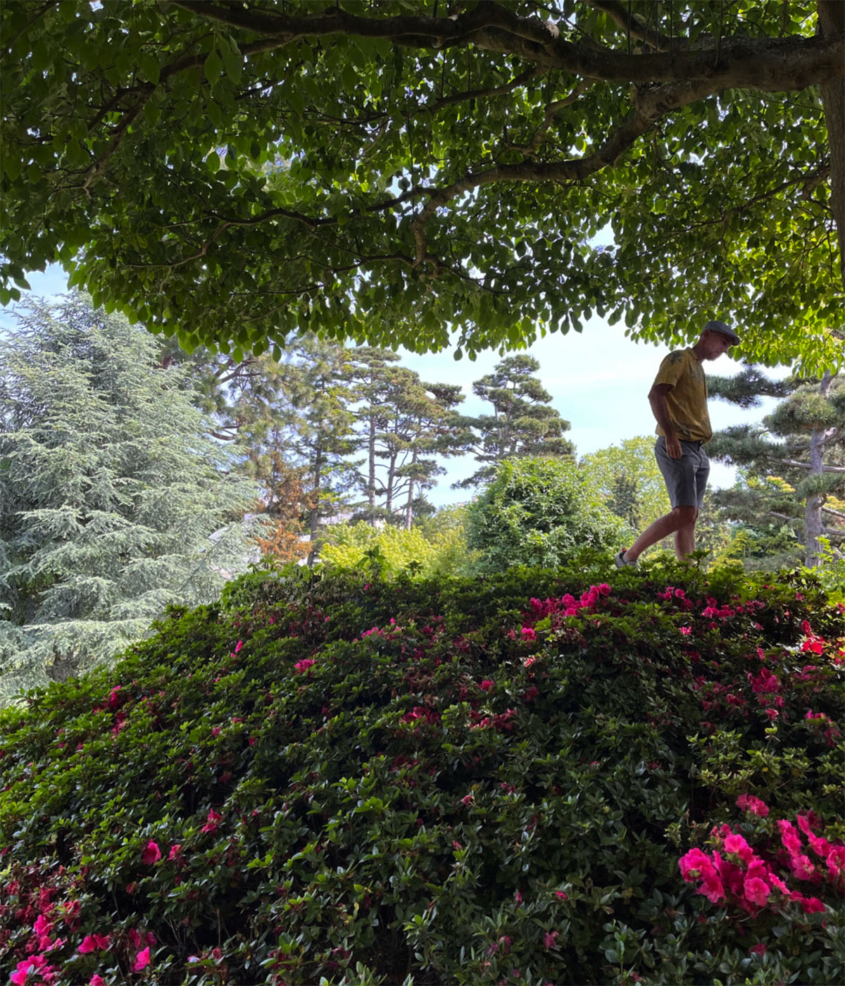 法国巴黎阿尔贝·坎恩花园Albert Kahn Garden