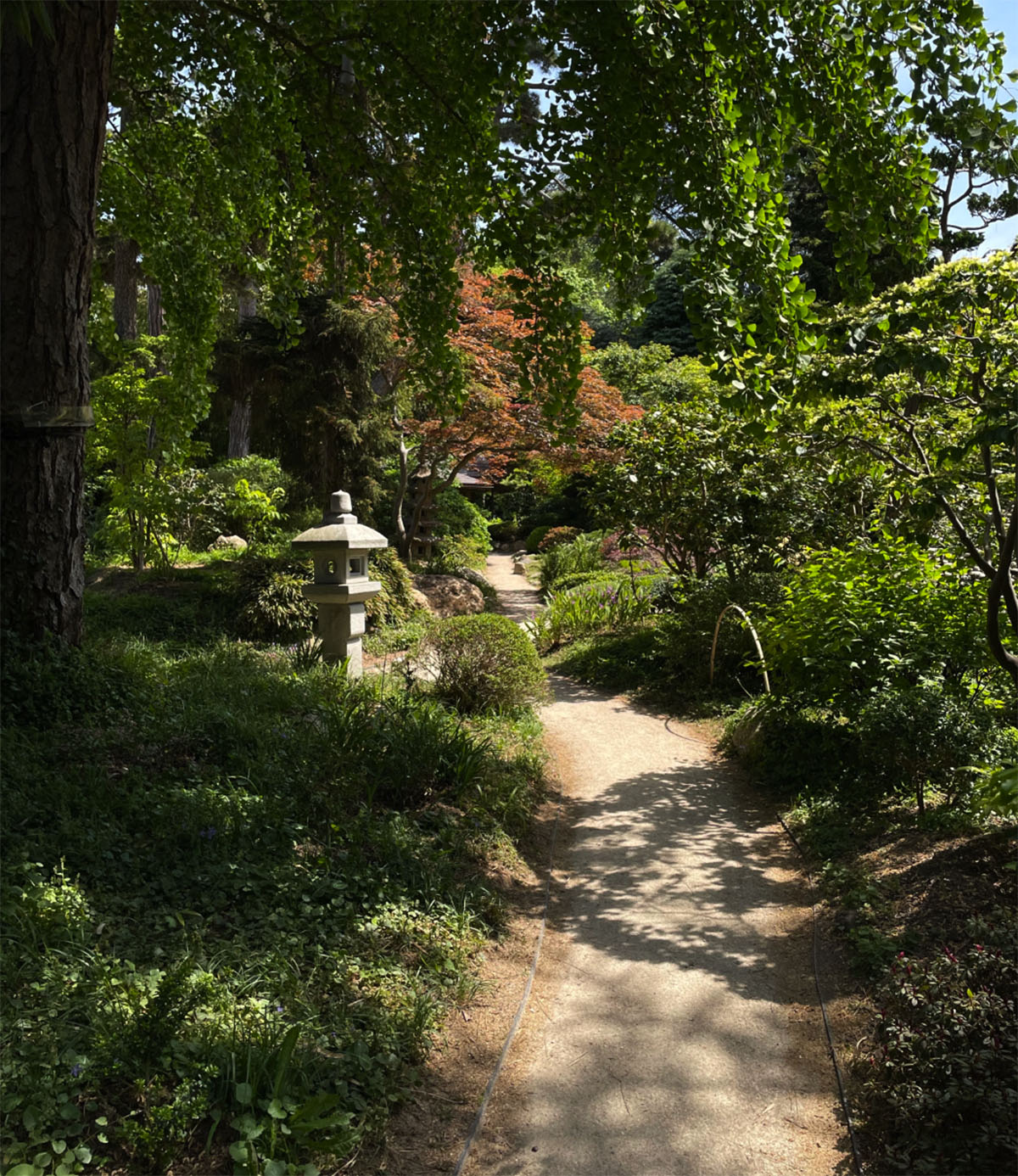 日本村与当代花园​