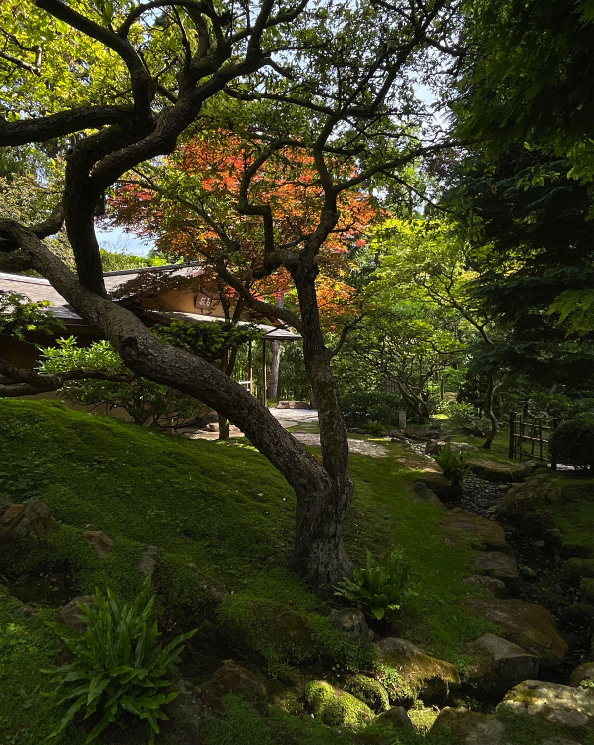 日本村与当代花园​