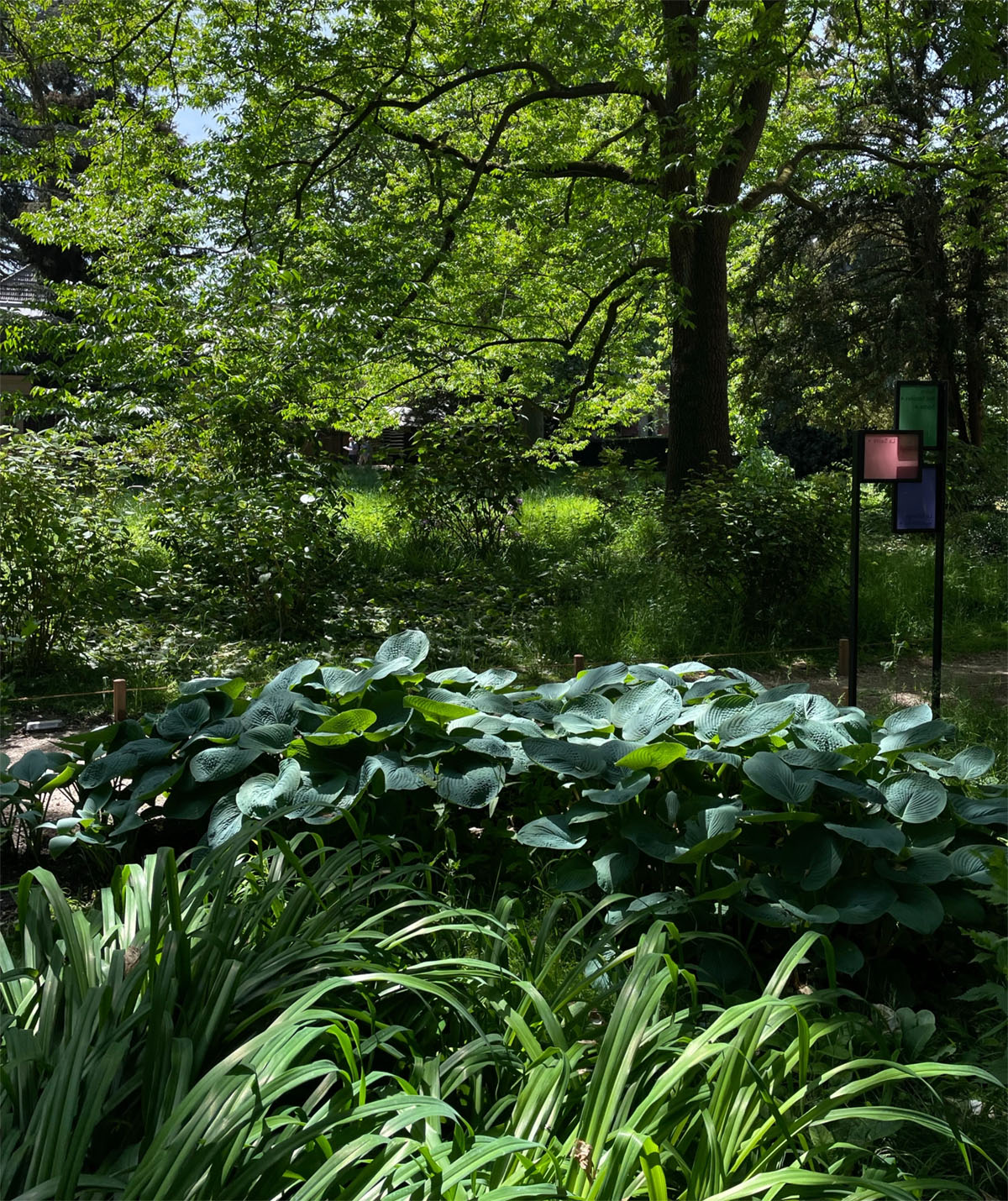 法国巴黎阿尔贝·坎恩花园Albert Kahn Garden