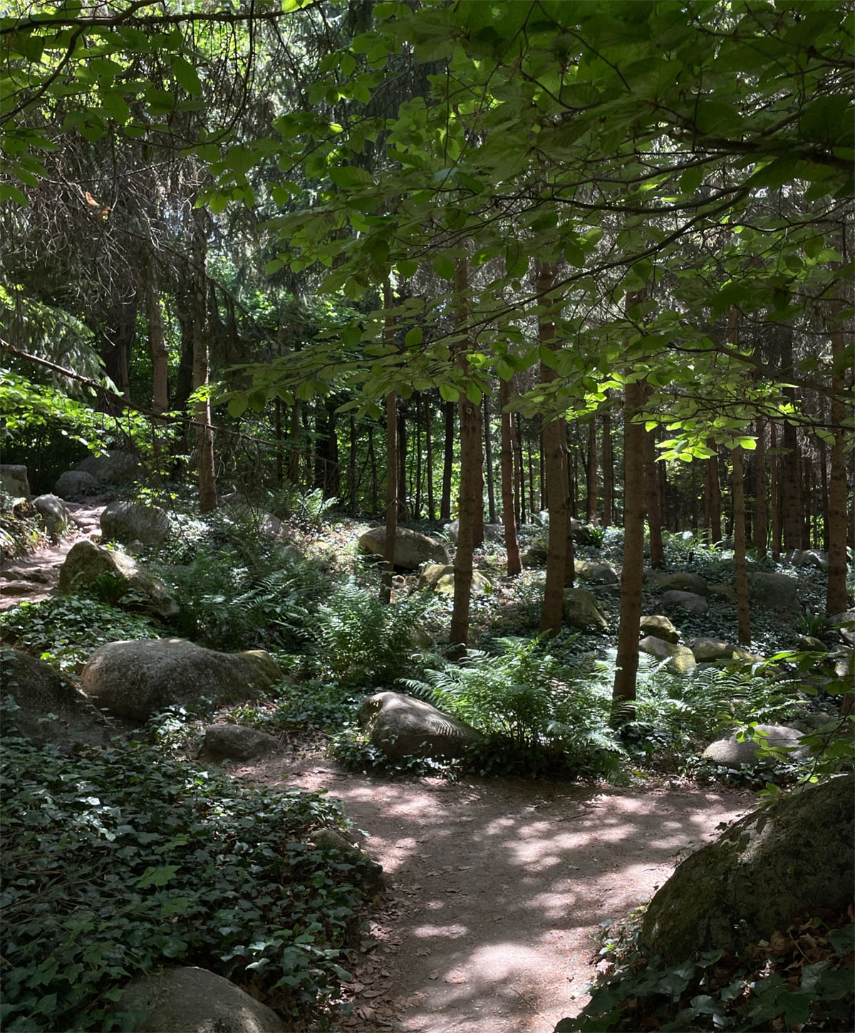 法国巴黎阿尔贝·坎恩花园Albert Kahn Garden