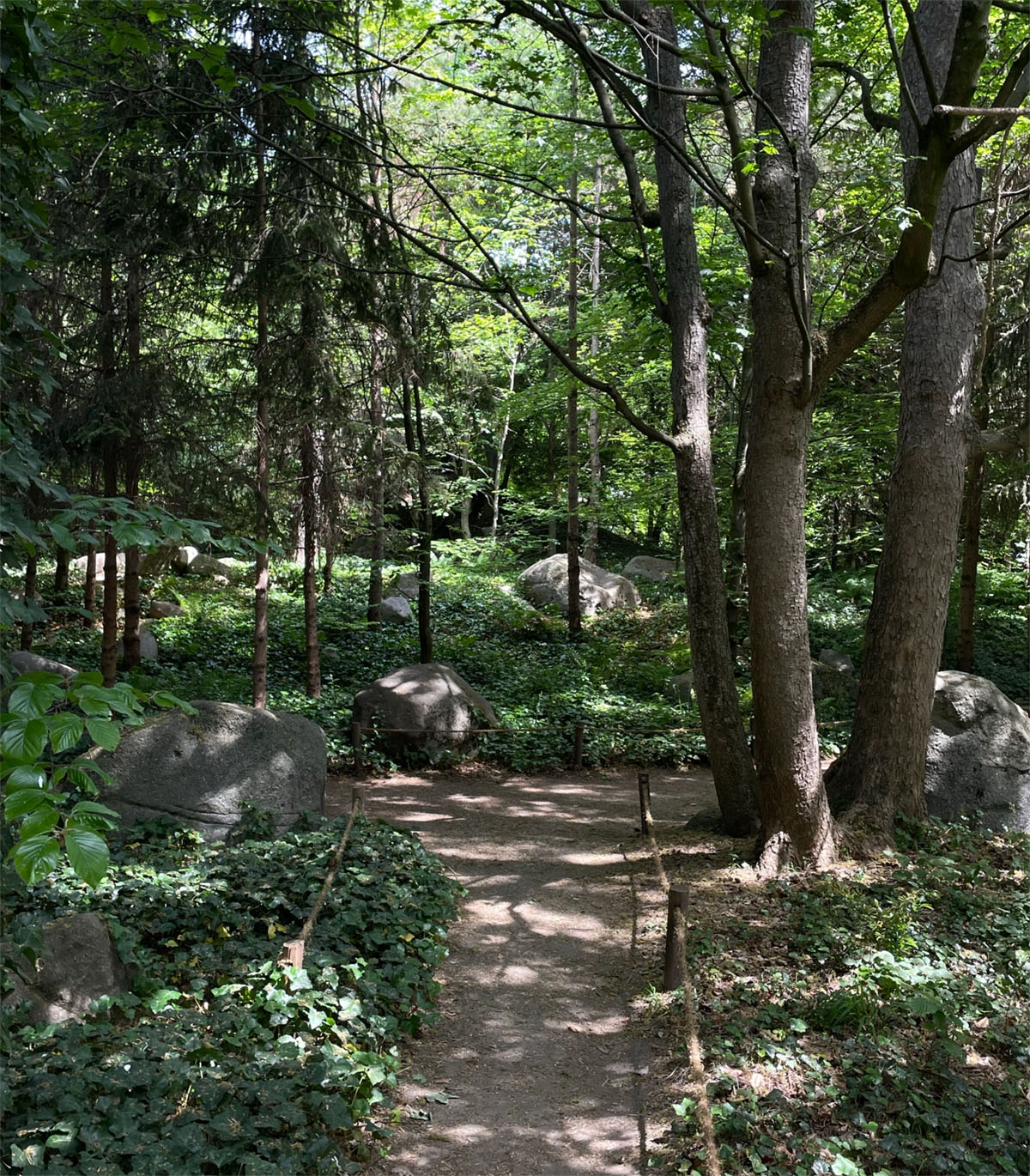 法国巴黎阿尔贝·坎恩花园Albert Kahn Garden