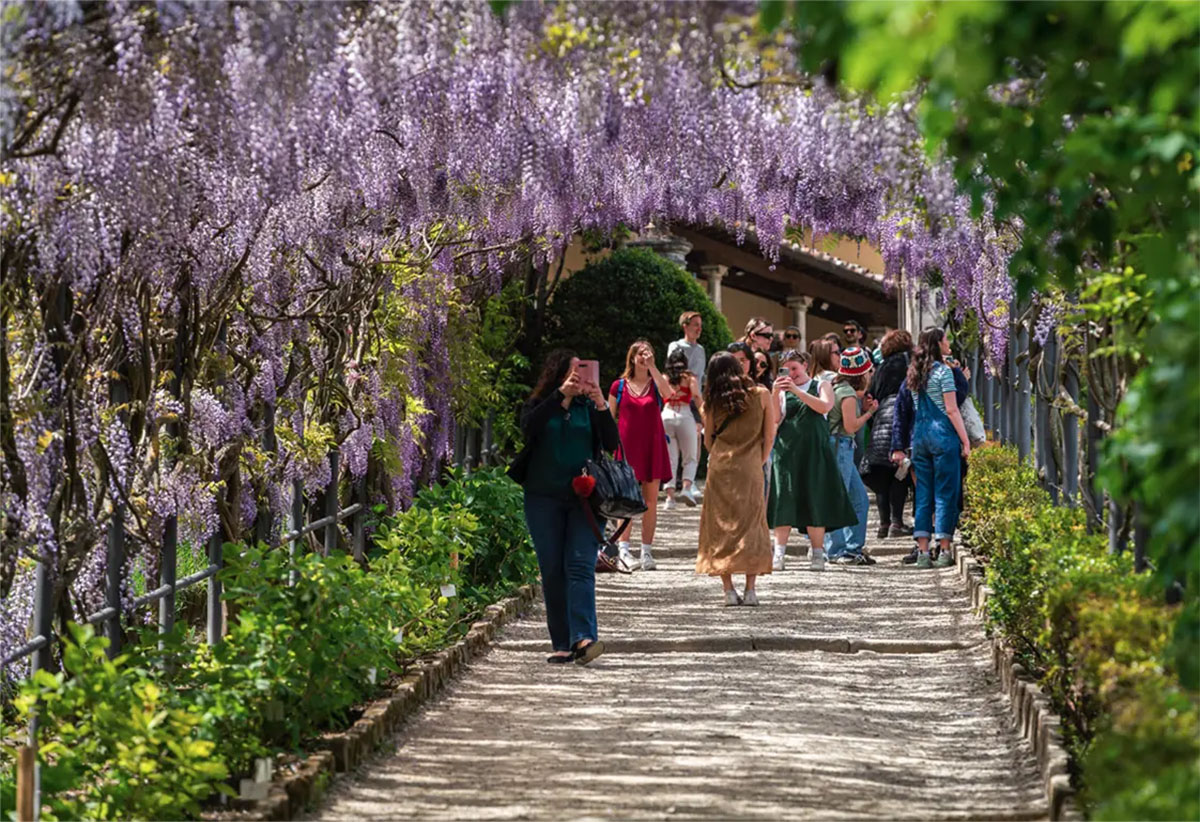 意大利巴迪尼花园Villa e Giardino Bardini