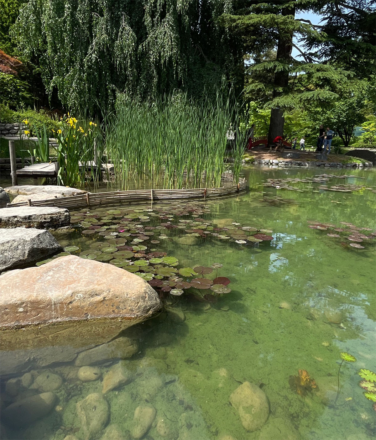 法国巴黎阿尔贝·坎恩花园Albert Kahn Garden