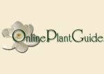 美国在线植物指南Online Plant Guide