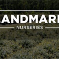 美国兰德马克苗圃 Landmark Nurseries