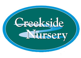 美国溪畔苗圃 Creekside Nursery