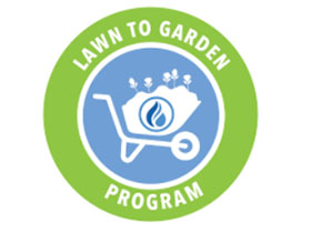 美国长滩草坪变花园项目