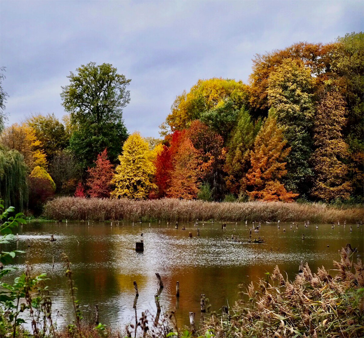 秋天的比利时马里蒙特庄园
