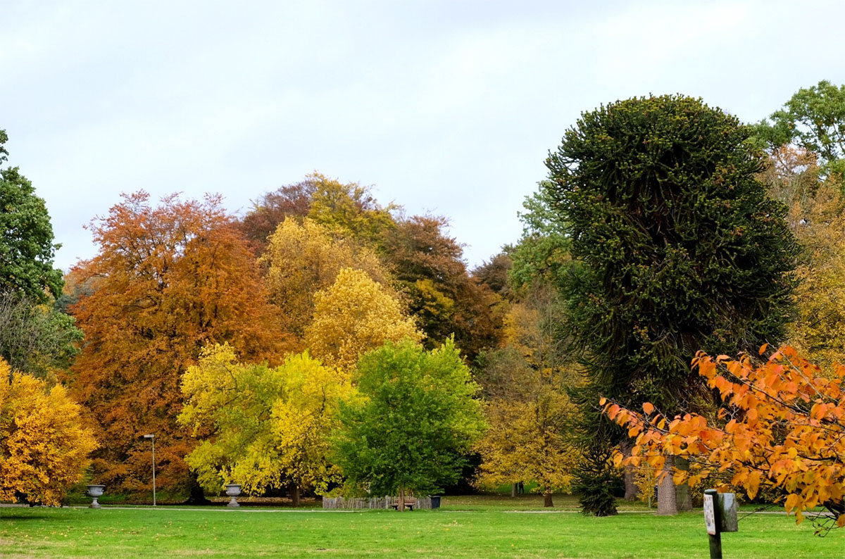 秋天的比利时马里蒙特庄园