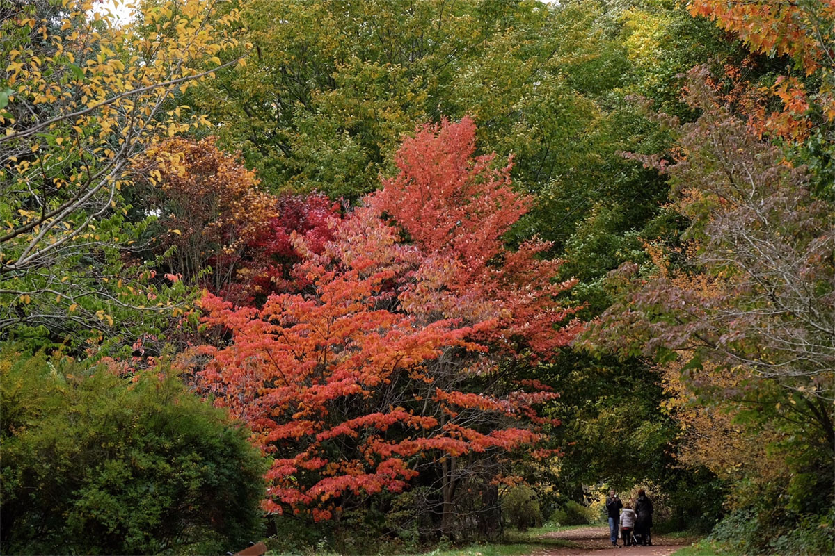 秋天的比利时马里蒙特庄园