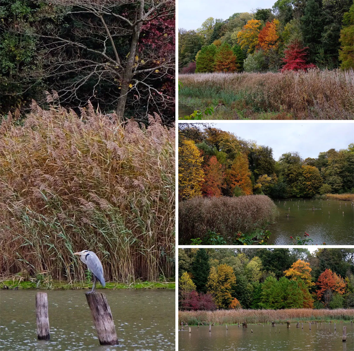 比利时马里蒙特庄园