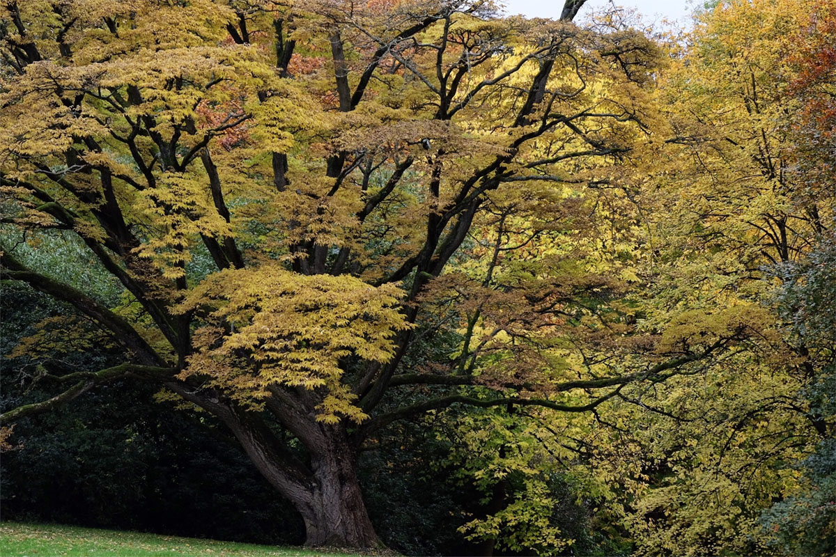 比利时马里蒙特庄园