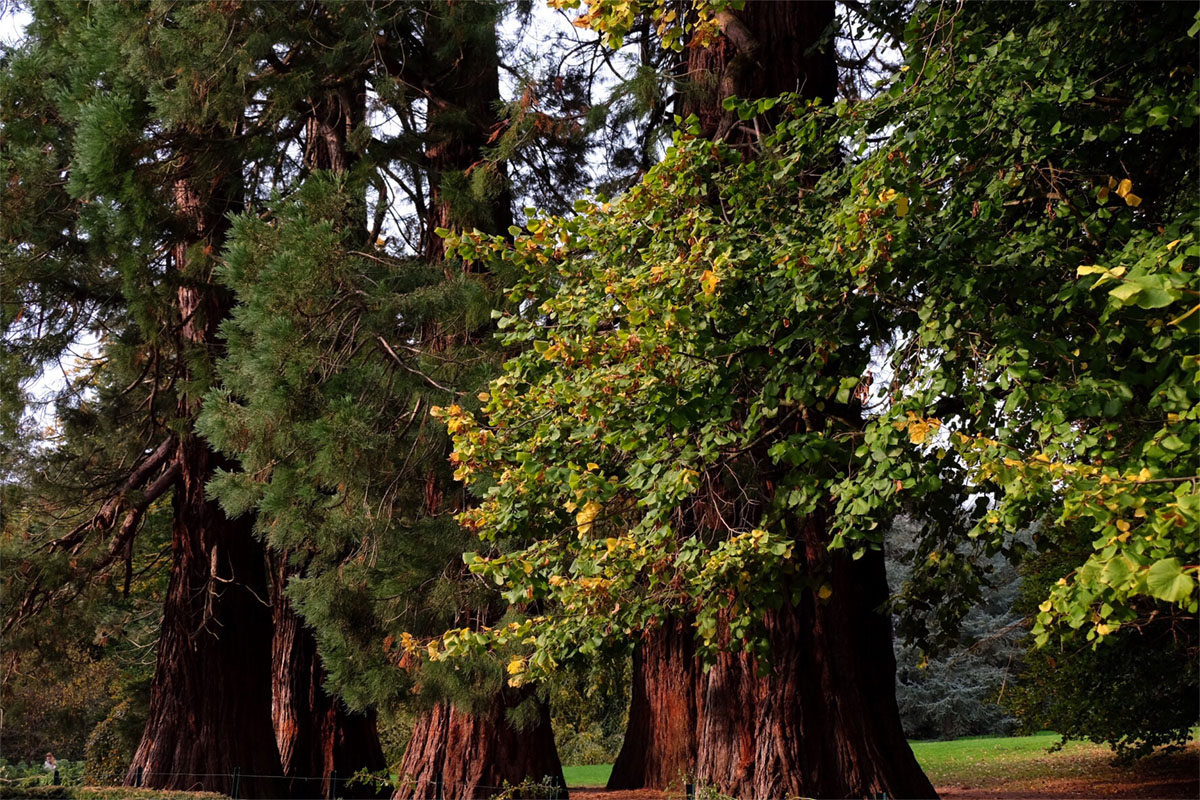 秋天的比利时马里蒙特庄园