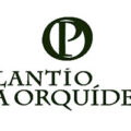 美国Plantío La Orquídea兰花苗圃