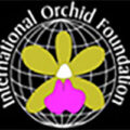 国际兰花基金会 International Orchid Foundation
