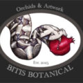 美国Bitis Botanical兰花工作室