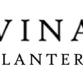Vina Planters兰花花盆