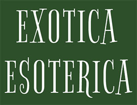 美国《神秘异域》Exotica Esoterica杂志