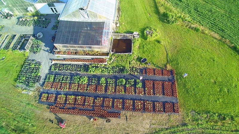 美国伯根水景花园和苗圃