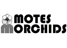 美国Motes Orchids