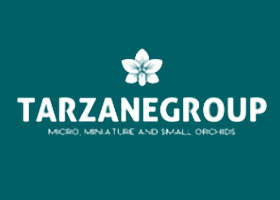 美国塔兹内兰花集团Tarzane Group
