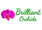 美国精彩兰花Brilliant Orchids