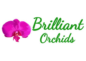 美国精彩兰花Brilliant Orchids