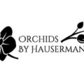 美国豪泽曼兰花Orchids By Hausermann