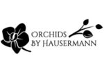 美国豪泽曼兰花Orchids By Hausermann