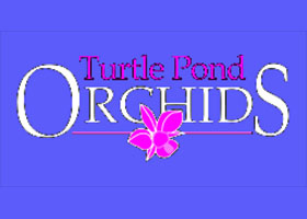 美国乌龟池塘苗圃和兰花公司