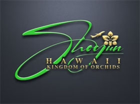 美国夏威夷卡特兰Cattleya Orchids Hawaii