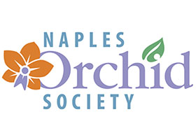 美国那不勒斯兰花协会